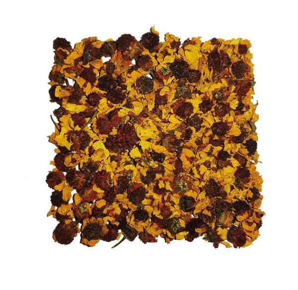 Kunlun Snow Chrysanthemum